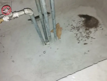 贵港卫生间测漏水价格明细